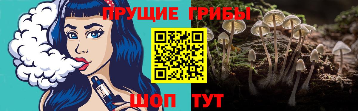 Галлюциногенные грибы Psilocybe  Галлюциногенные грибы GOLDEN TEACHER  Тихвин  Вход с VPN 